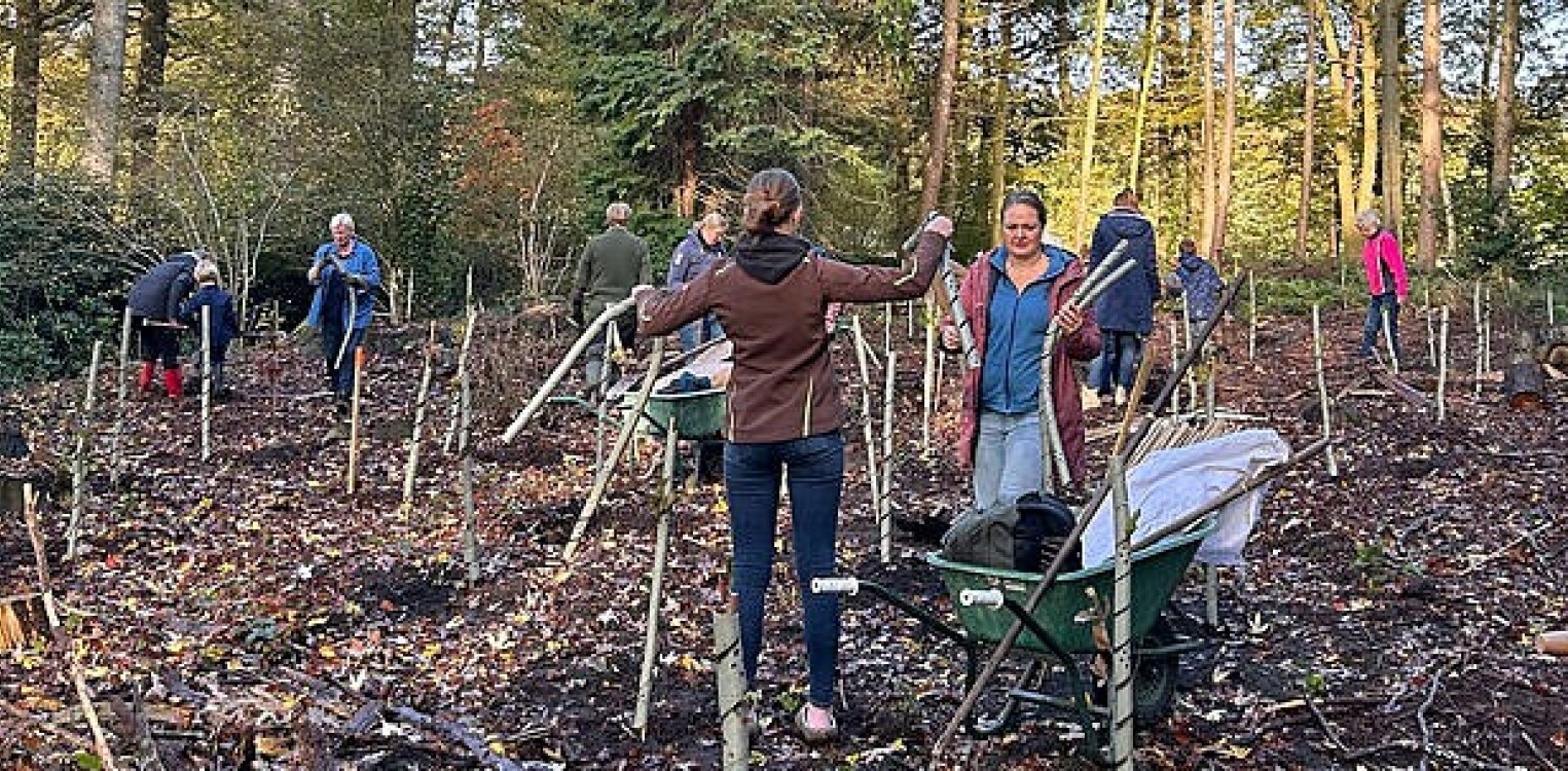 Geslaagde Natuurwerkdag op Landgoed Verwolde