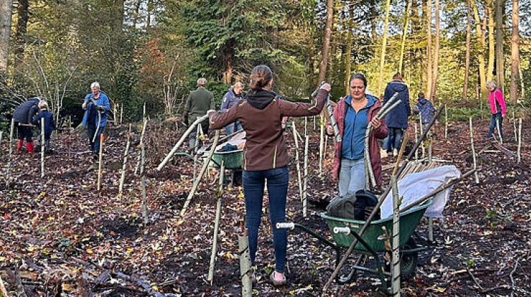 Geslaagde Natuurwerkdag op Landgoed Verwolde