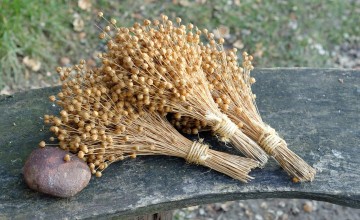 Gemeente Lochem sluit zich aan bij regiodeal voor biobased bouwen