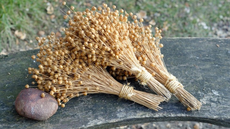 Gemeente Lochem sluit zich aan bij regiodeal voor biobased bouwen