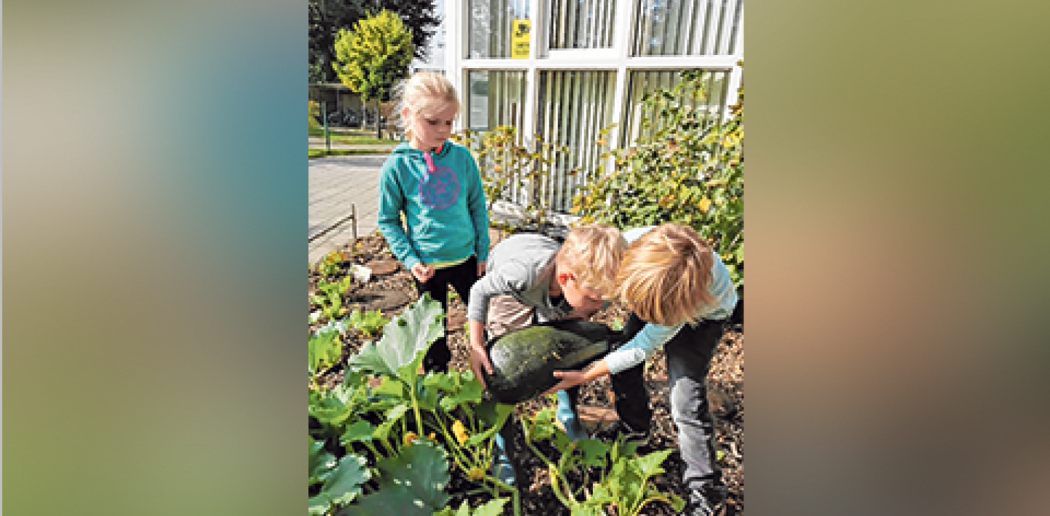 De Julianaschool in het groen