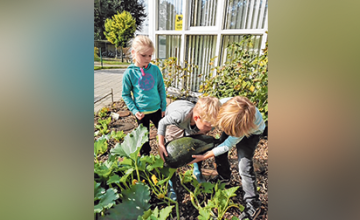 De Julianaschool in het groen