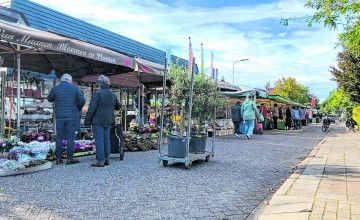 Dorpse gezelligheid op de donderdagmarkt in Laren