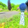 Creatieve workshops in open beeldentuin in Harfsen
