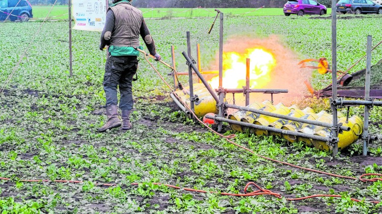 Carbid Festival Epse