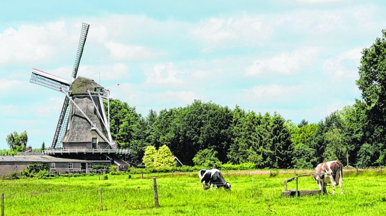 Ontdek de charme van Landelyk Lochem met deze zeven fietsroutes