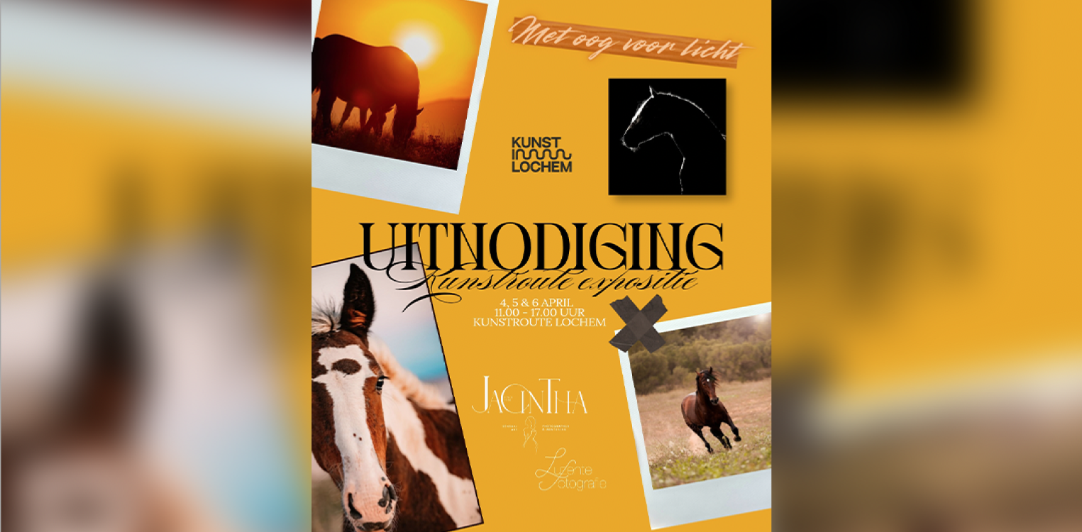 Met Oog voor Licht: bijzondere paardenexpositie tijdens Kunstroute Lochem