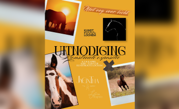 Met Oog voor Licht: bijzondere paardenexpositie tijdens Kunstroute Lochem