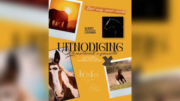 Met Oog voor Licht: bijzondere paardenexpositie tijdens Kunstroute Lochem