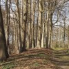 Geniet van de herfstkleuren en geschiedenis van landhuizen De Voorst en ’t Velde