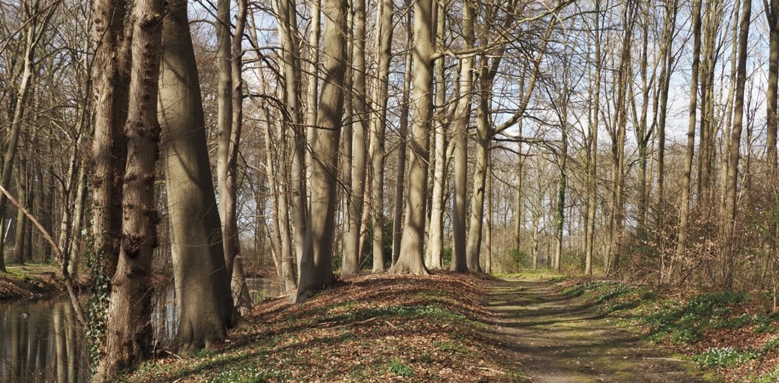 Geniet van de herfstkleuren en geschiedenis van landhuizen De Voorst en ’t Velde