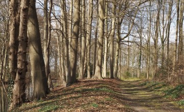 Geniet van de herfstkleuren en geschiedenis van landhuizen De Voorst en ’t Velde