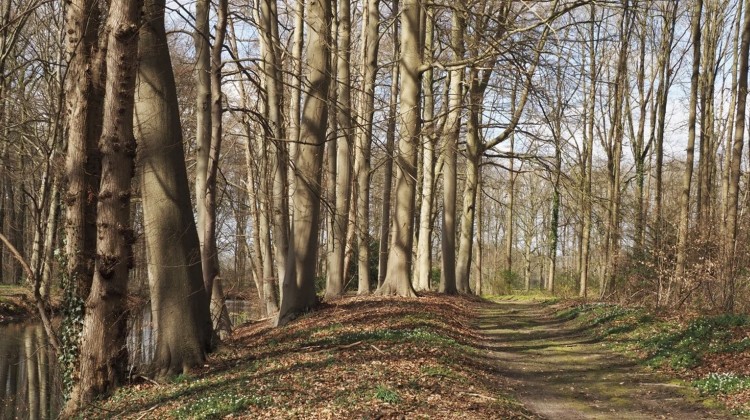 Geniet van de herfstkleuren en geschiedenis van landhuizen De Voorst en ’t Velde