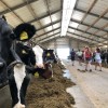 Groep 7 van Branink op bezoek bij Pastelle IJs in Laren