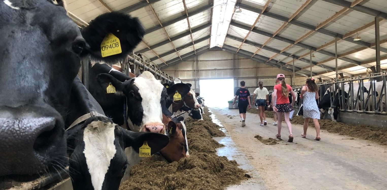 Groep 7 van Branink op bezoek bij Pastelle IJs in Laren