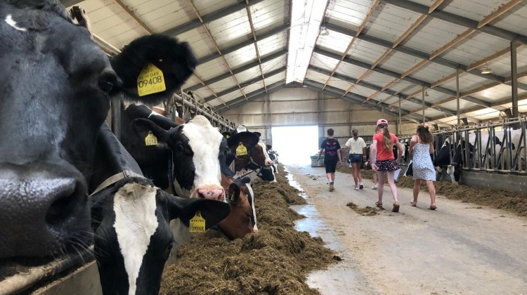 Groep 7 van Branink op bezoek bij Pastelle IJs in Laren