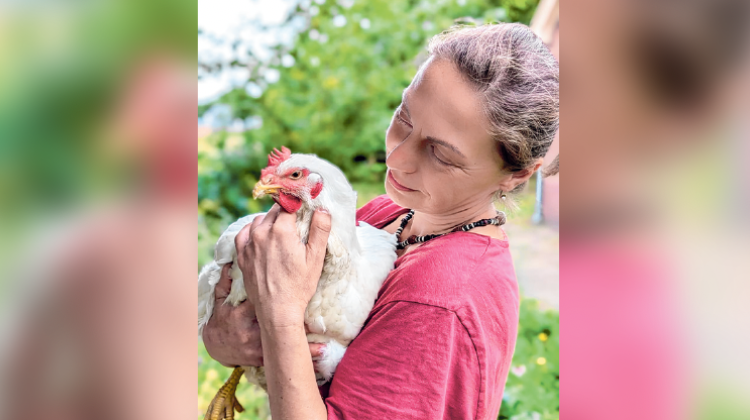 Geluksvogels zoeken vrijwilligers