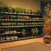 De toekomst van interieurdesign: hoogwaardige kunstplanten