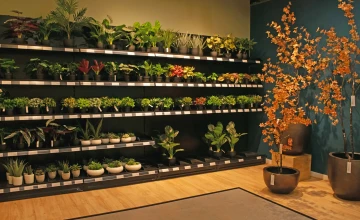De toekomst van interieurdesign: hoogwaardige kunstplanten