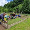 Wethouder bezoekt Harfsense boerderijles tijdens Week van de Schooltuin