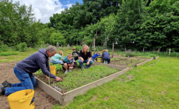 Wethouder bezoekt Harfsense boerderijles tijdens Week van de Schooltuin