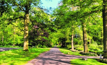 Wandel Dorp Laren houdt wandeltochten in Harfsen