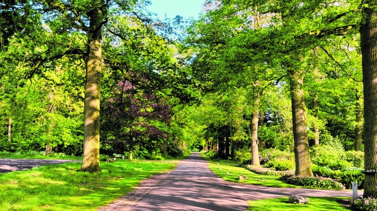 Wandel Dorp Laren houdt wandeltochten in Harfsen