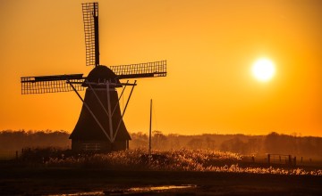 Lente! Waarom daglicht zo gezond is