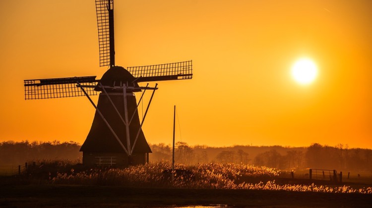 Lente! Waarom daglicht zo gezond is