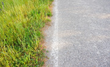 Berm in gebruik? Gemeente wil er weer zelf over gaan