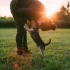 Stuur de leukste/grappigste/mooiste foto van jouw huisdier naar LokaalLochem