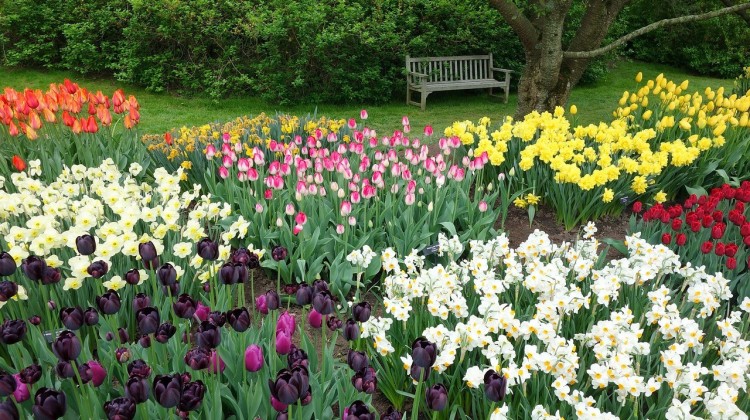 Maak je tuin klaar voor de lente
