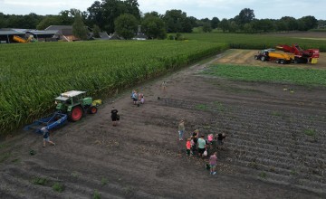 Ruim 400 aardappelrapers in Laren