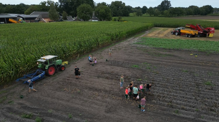 Ruim 400 aardappelrapers in Laren