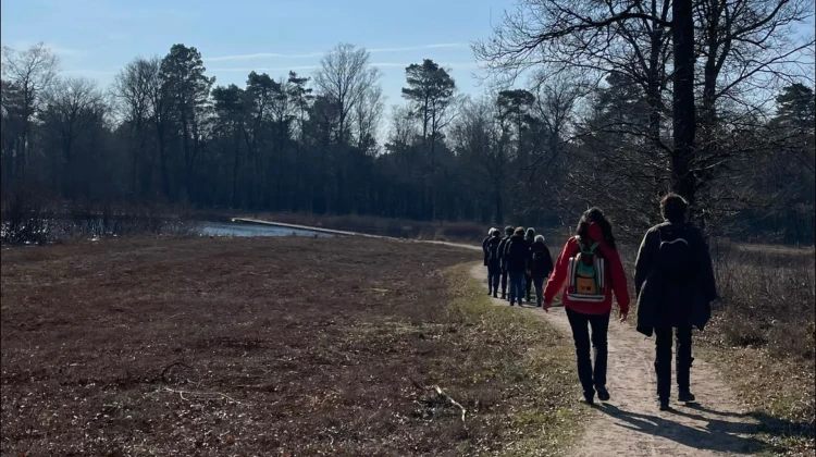 Eindejaarswandeling op de Gorsselse Heide