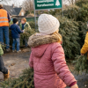 Inzameling kerstbomen op woensdag 7 januari in gemeente Lochem