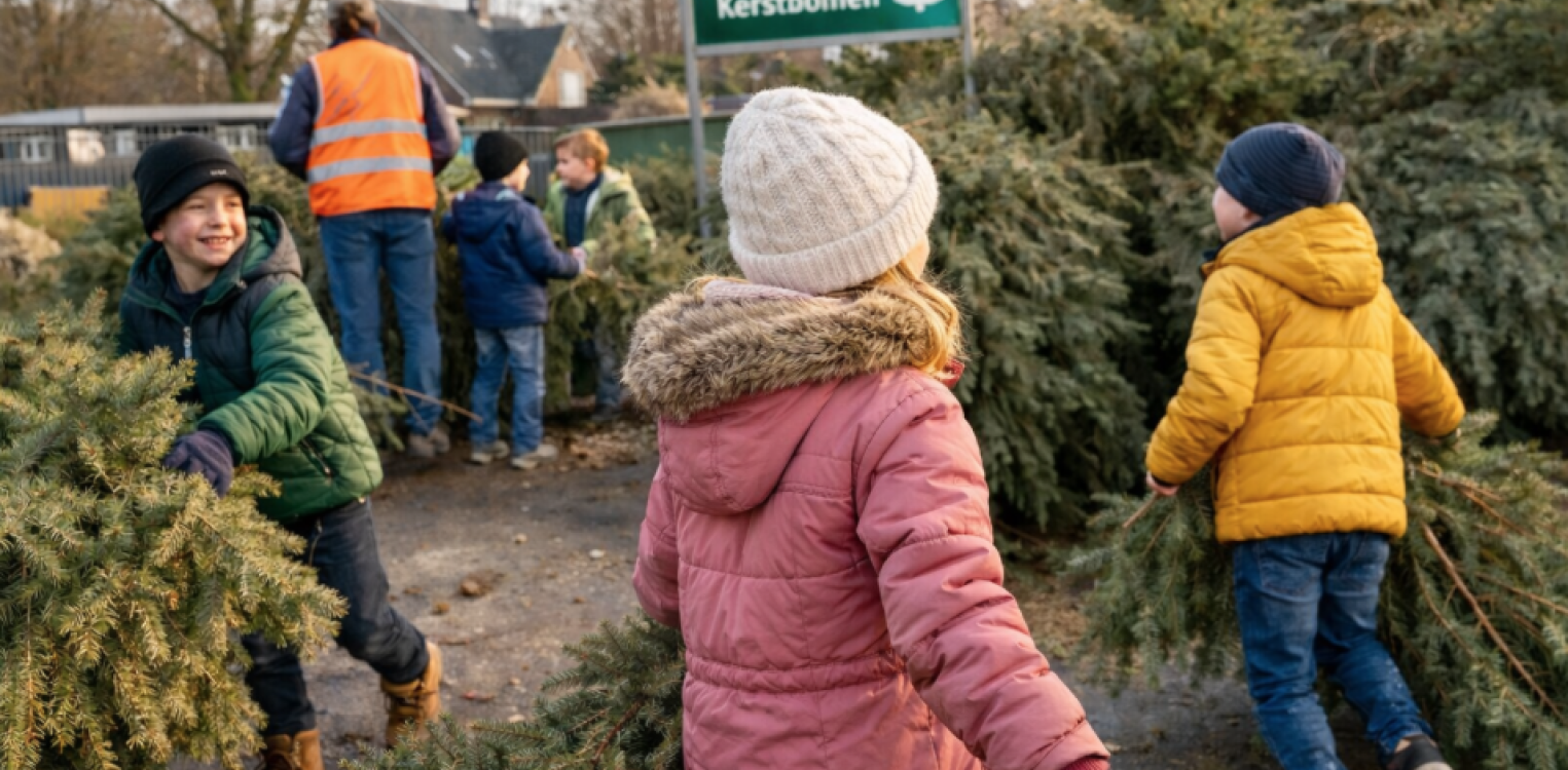 Inzameling kerstbomen op woensdag 7 januari in gemeente Lochem