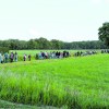 Wandel4daagse Laren van 2 t/m 5 juni