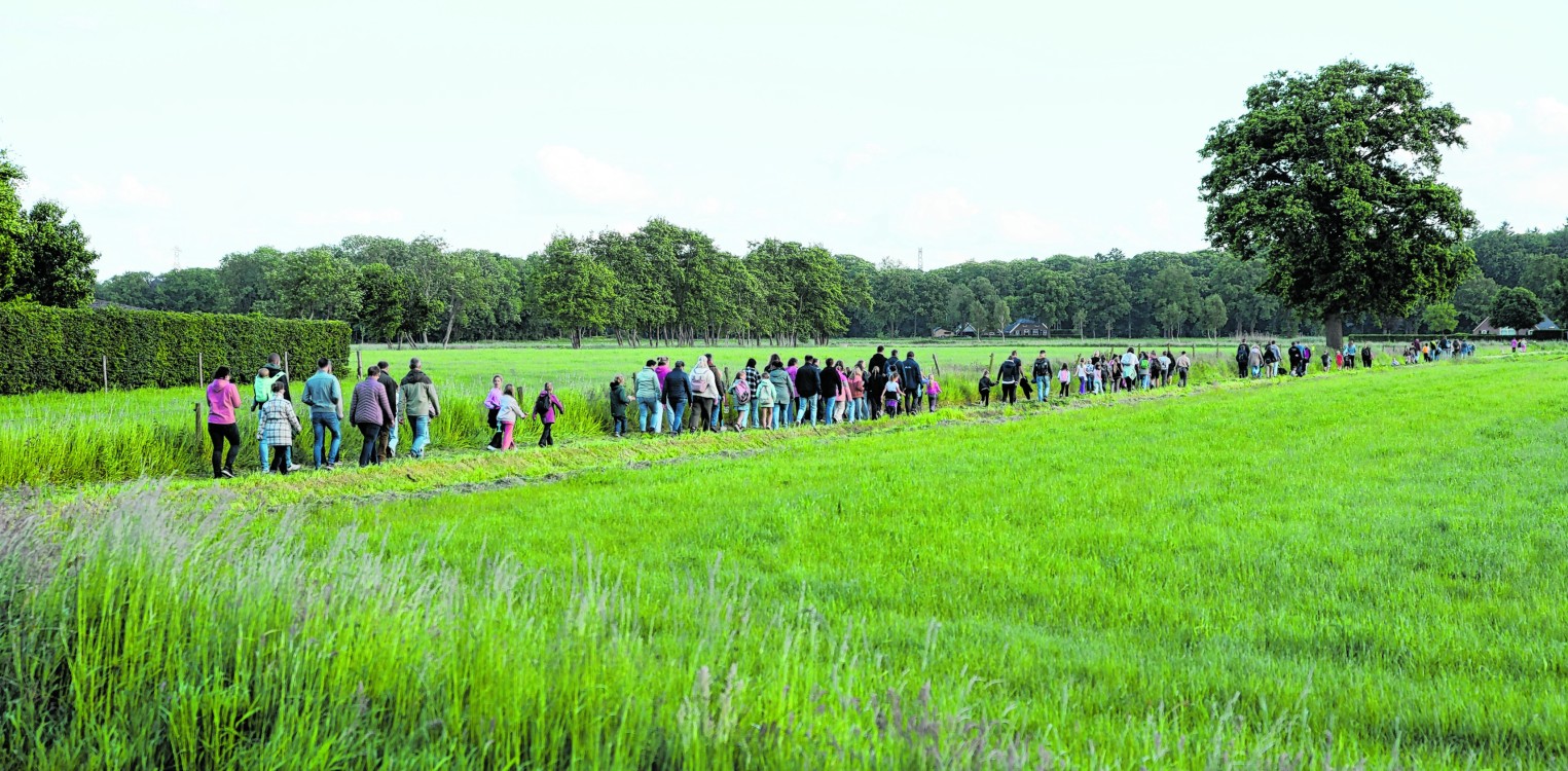 Wandel4daagse Laren van 2 t/m 5 juni