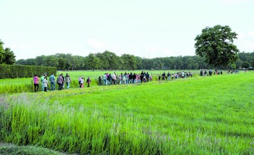 Wandel4daagse Laren van 2 t/m 5 juni