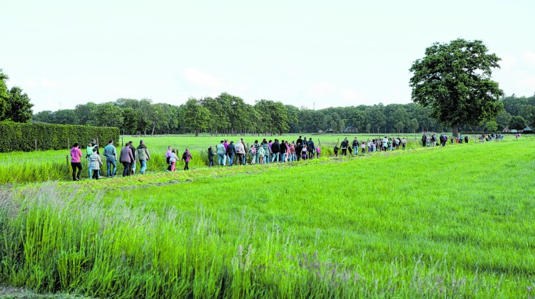 Wandel4daagse Laren van 2 t/m 5 juni