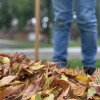 De bladkorven komen er weer aan in gemeente Lochem