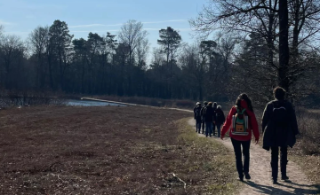 Eindejaarswandeling over de Gorsselse Heide