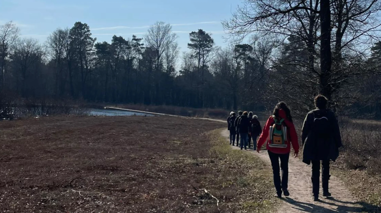 Eindejaarswandeling over de Gorsselse Heide