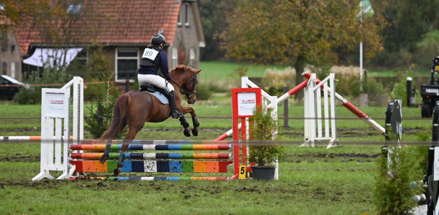 Nat maar geslaagd Gelderse Kampioenschappen Eventing in Barchem