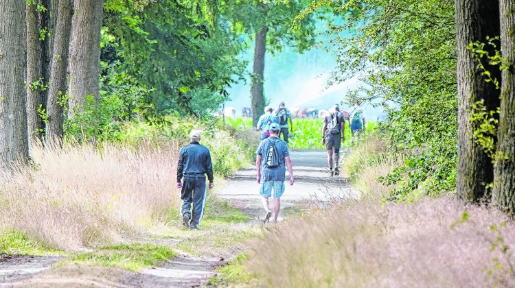 Sfeer en beleving tijdens de Barchemse4Daagse 2024