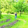 Kom naar de Dag van het Open Erf in Harfsen
