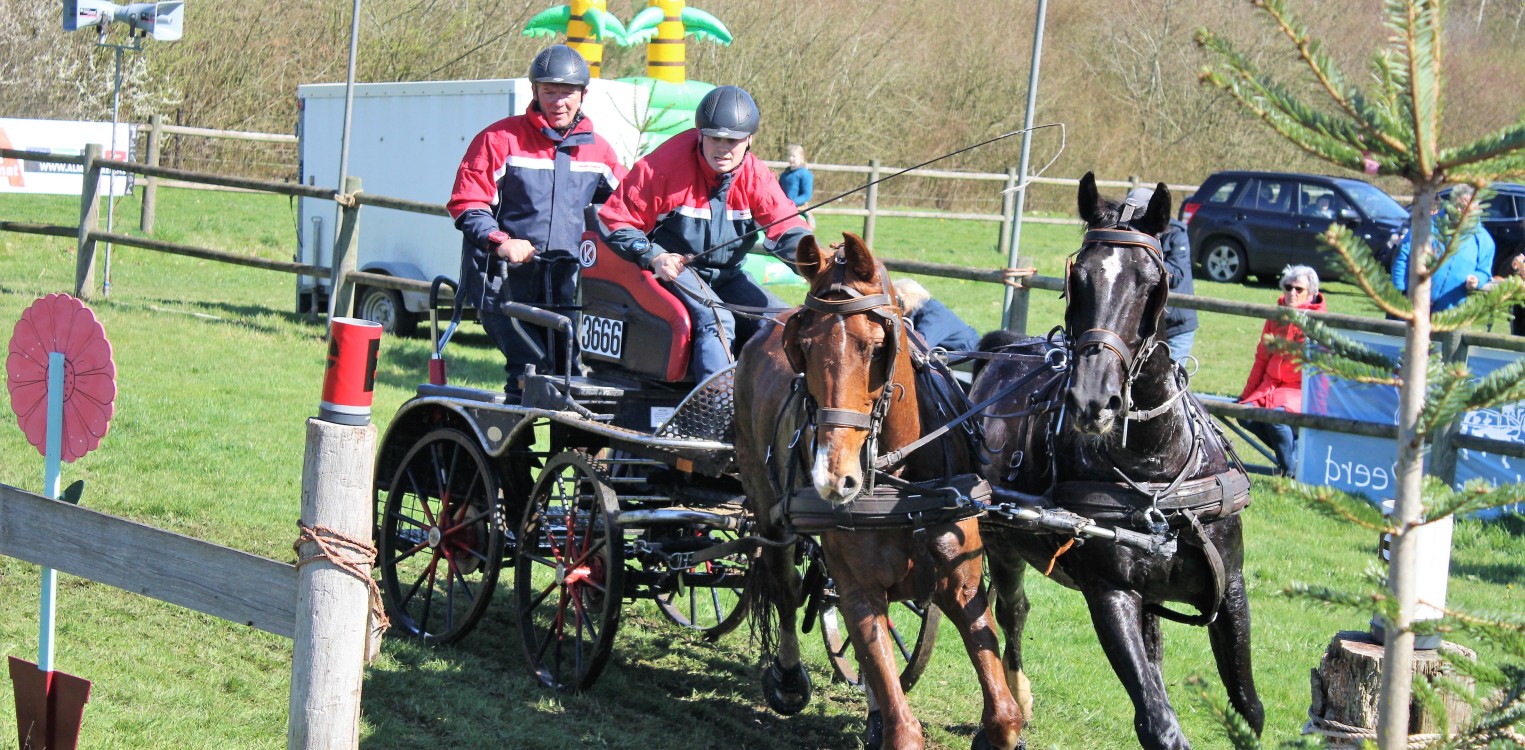 Samengestelde Wedstrijd Mennen in Eefde tijdens paasweekend