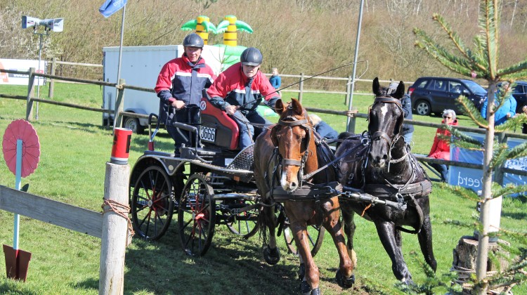 Samengestelde Wedstrijd Mennen in Eefde tijdens paasweekend