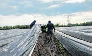 We lopen een dagje mee met de asperge boer
